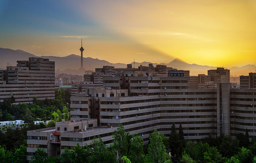 قالیشویی در منطقه ۵ تهران