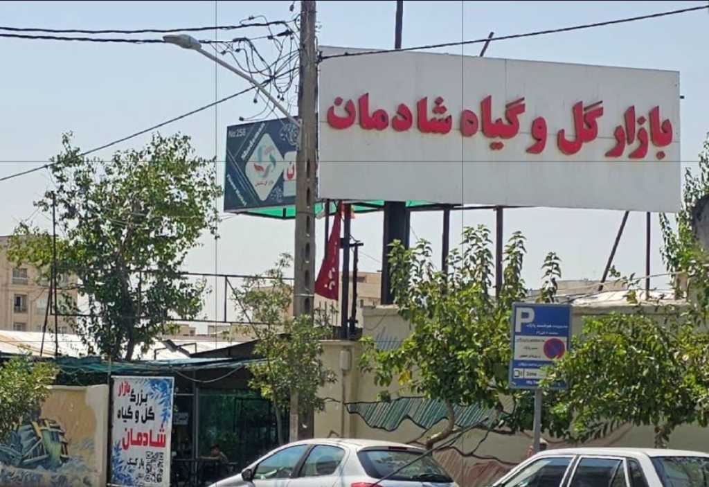 قالیشویی نزدیک شادمان پاک مهر